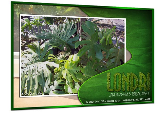 Londri Jardinagem Paisagismo Poda de Arvores Plantas Ornamentais Vasos e Grama Londrina PR