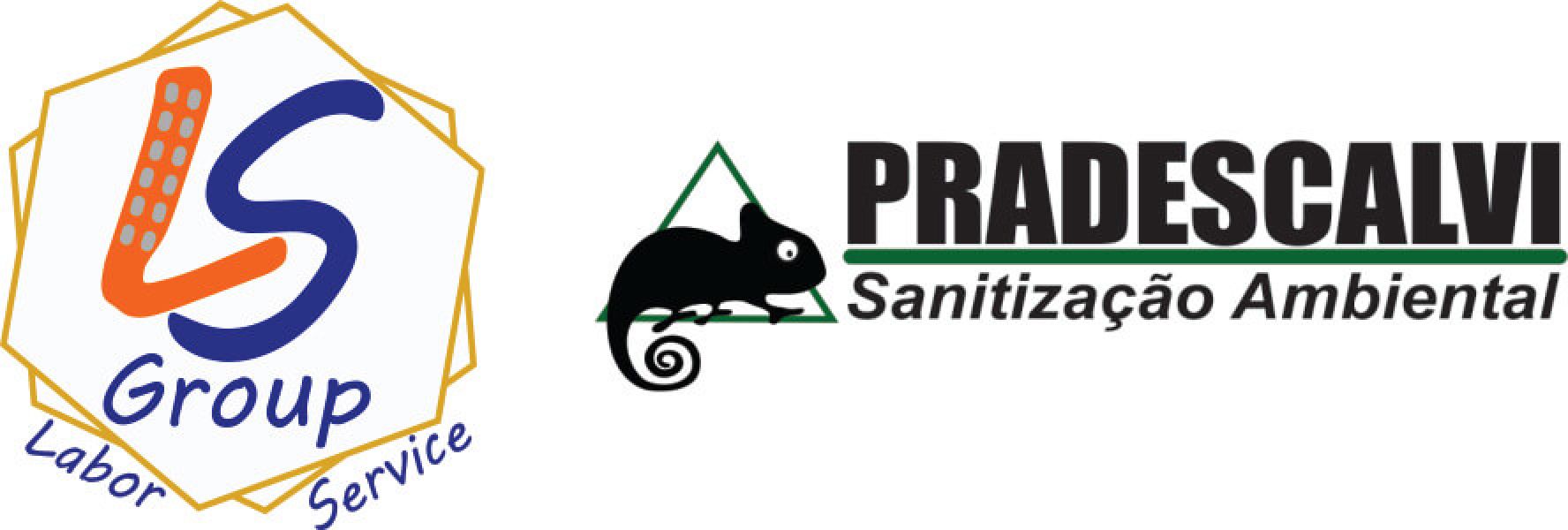 Dedetizadora Controle Pragas Morumbi 