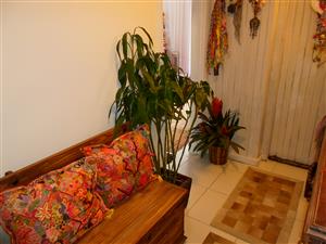 ATELIER CRISTINA FERRARO PETROPOLIS