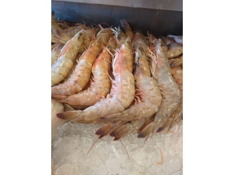 PEIXARIA EM SANTA CRUZ DA SERRA - RJ