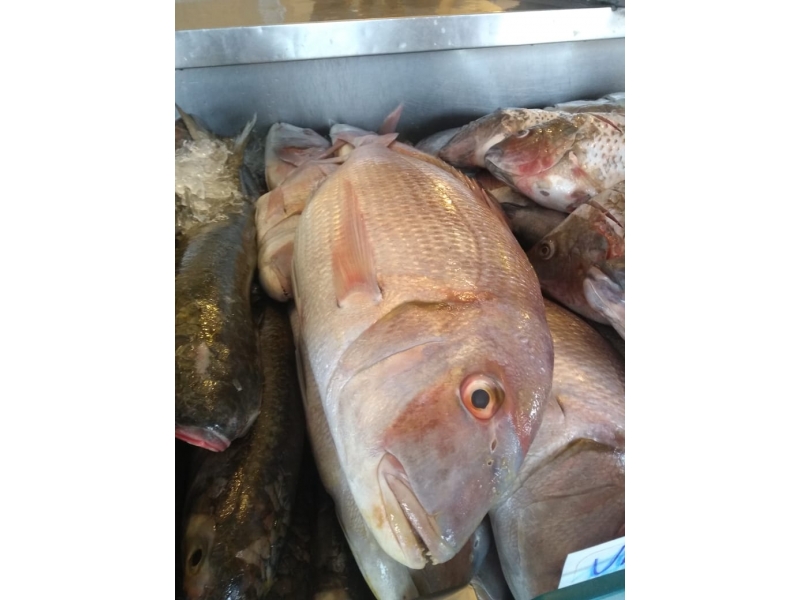 PEIXARIA EM SANTA CRUZ DA SERRA - RJ