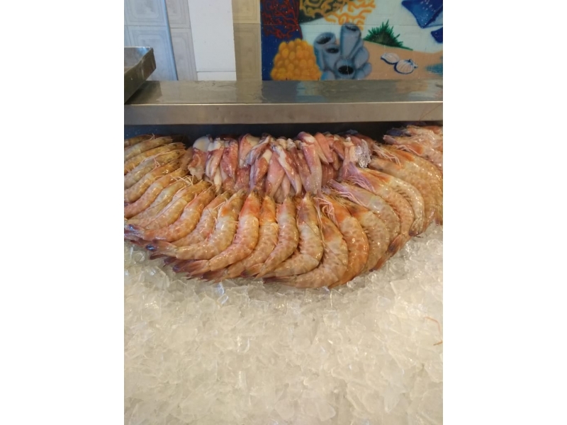 PEIXARIA EM SANTA CRUZ DA SERRA - RJ