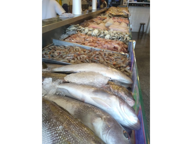 PEIXARIA EM SANTA CRUZ DA SERRA - RJ