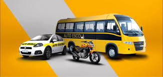COBRINHA AUTO ESCOLA