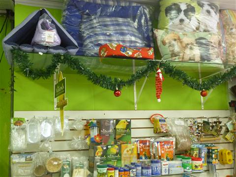 PETSHOP EM PETROPOLIS