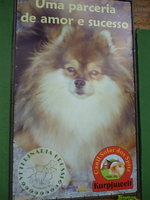 PETSHOP EM PETROPOLIS