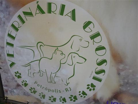 PETSHOP EM PETROPOLIS