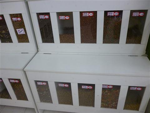 PETSHOP EM PETROPOLIS