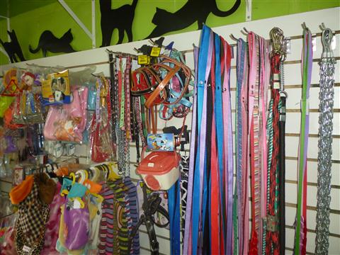 PETSHOP EM PETROPOLIS