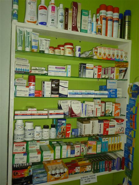 PETSHOP EM PETROPOLIS