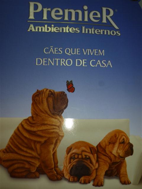 PETSHOP EM PETROPOLIS