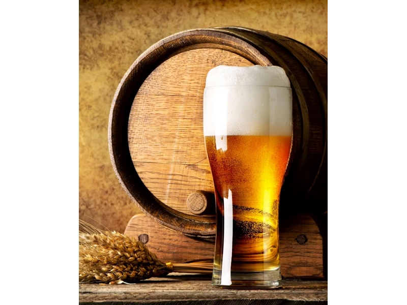 RESTAURANTE EM CAMPOS DOS GOYTACAZES WhatsApp Online RJ