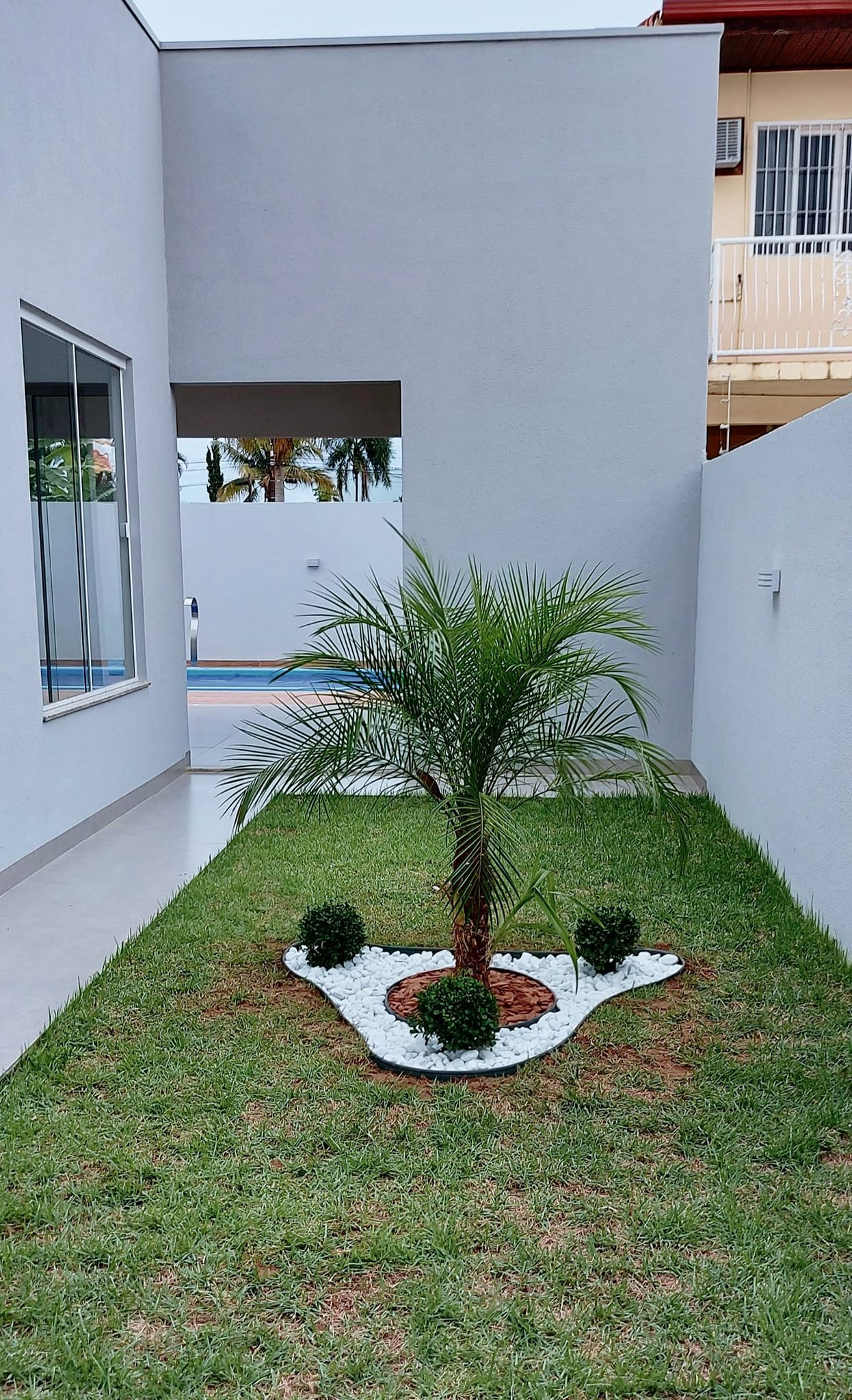 MUDAS DE PLANTAS E FLORES EM VILHENA - RO