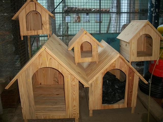 RAÇÕES EM GERAL EM AREAL - IMPÉRIO COUNTRY