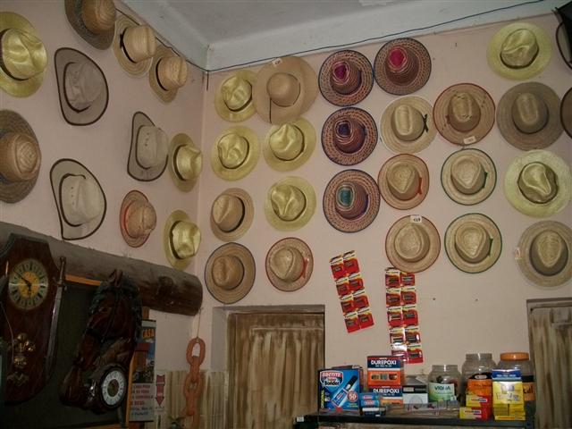 RAÇÕES EM GERAL EM AREAL - IMPÉRIO COUNTRY