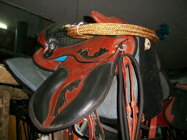 RAÇÕES EM GERAL EM AREAL - IMPÉRIO COUNTRY