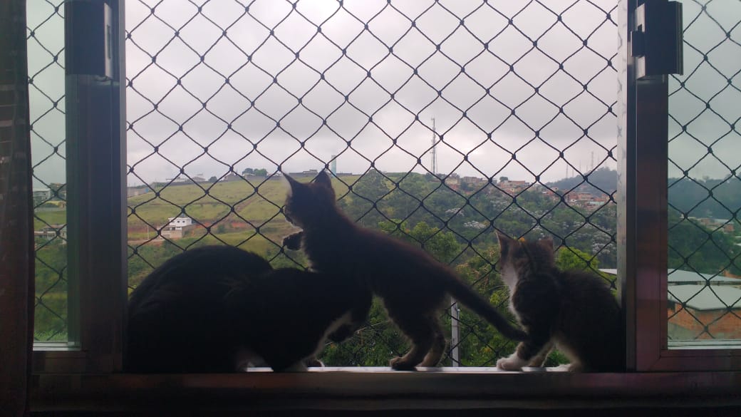 REDES DE PROTEÇÃO EM NILÓPOLIS - RJ