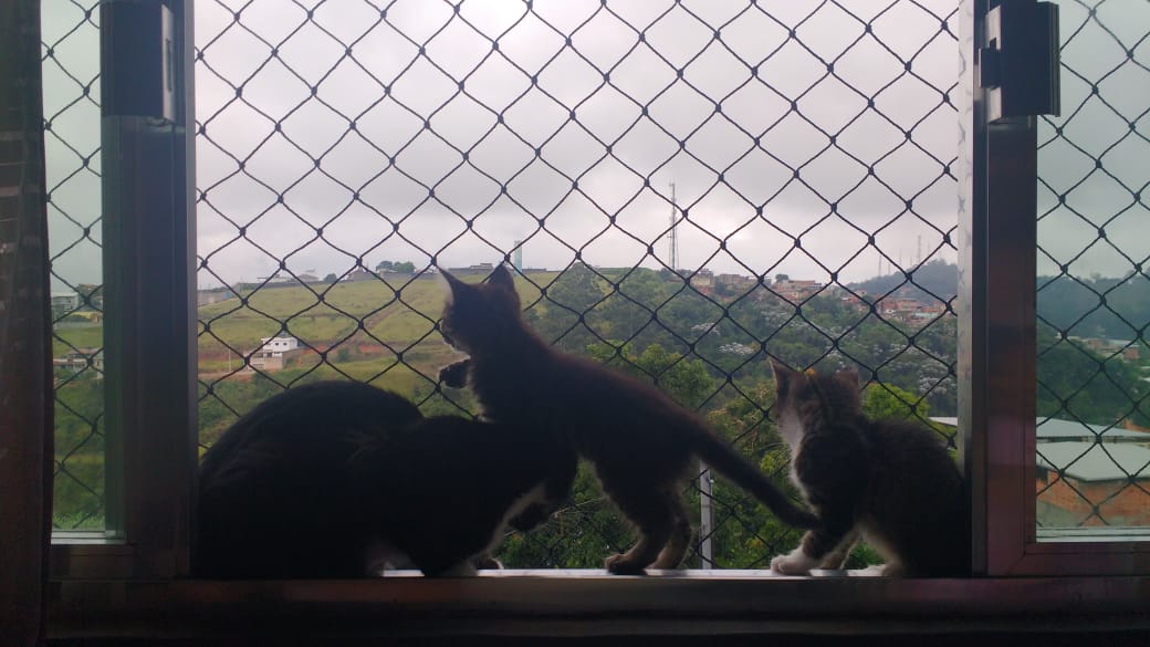 TELAS E REDES DE PROTEÇÃO EM ALÉM PARAÍBA - MG