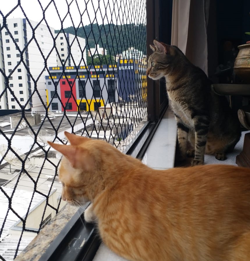 REDES DE PROTEÇÃO EM NILÓPOLIS - RJ