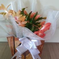 FLORICULTURA EM TREMEMBÉ - SP 