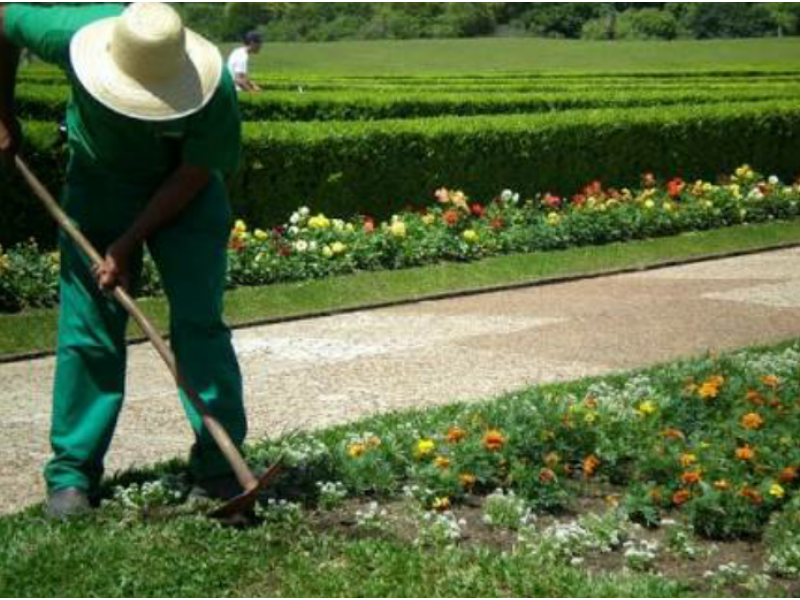 PAISAGISTA NA REGIÃO DE GRANJA VIANA - SP