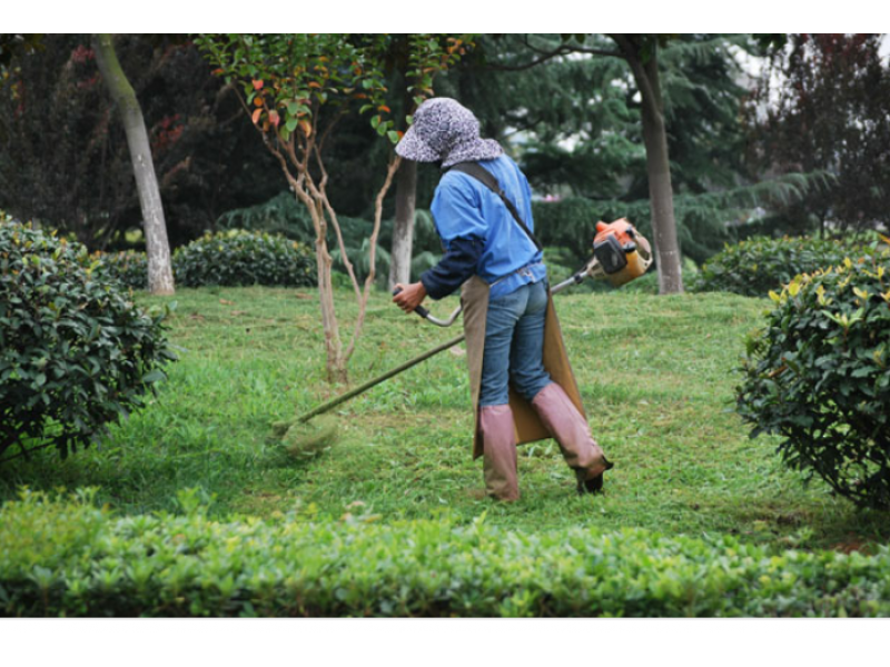 SERVIÇO COMPLETO DE JARDINAGEM PARA REGIÃO BROOKLIN - SP 