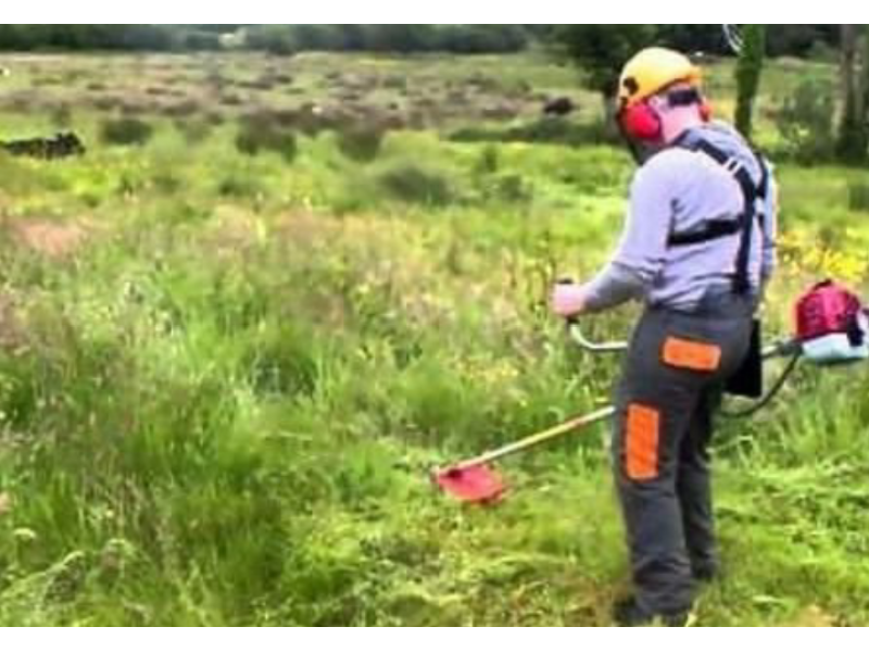 SERVIÇO COMPLETO DE JARDINAGEM PARA REGIÃO BROOKLIN - SP 