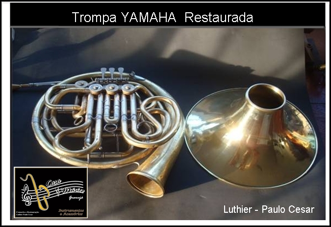 Consertos de Instrumentos Musicais em Guarujá/SP