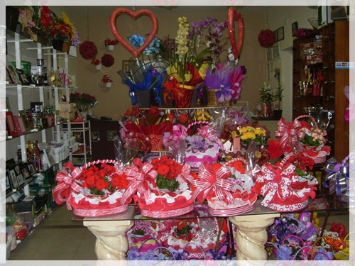 FLORICULTURA EM PRESIDENTE EPITACIO - CASA DAS FLORES