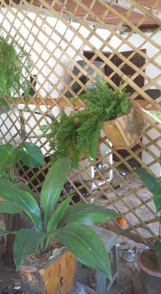 MESAS RÚSTICAS DE MADEIRA EM MARATAIZES-ES