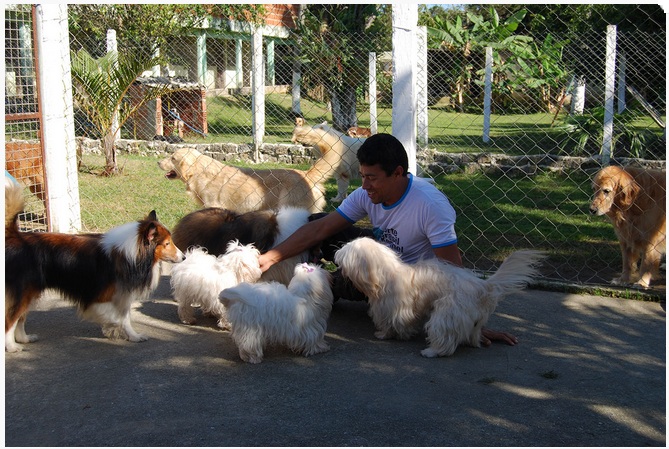 ADESTRAMENTO E HOSPEDAGEM DE CAES NA BARRA DA TIJUCA - CANIL FORTE BRASIL - RJ