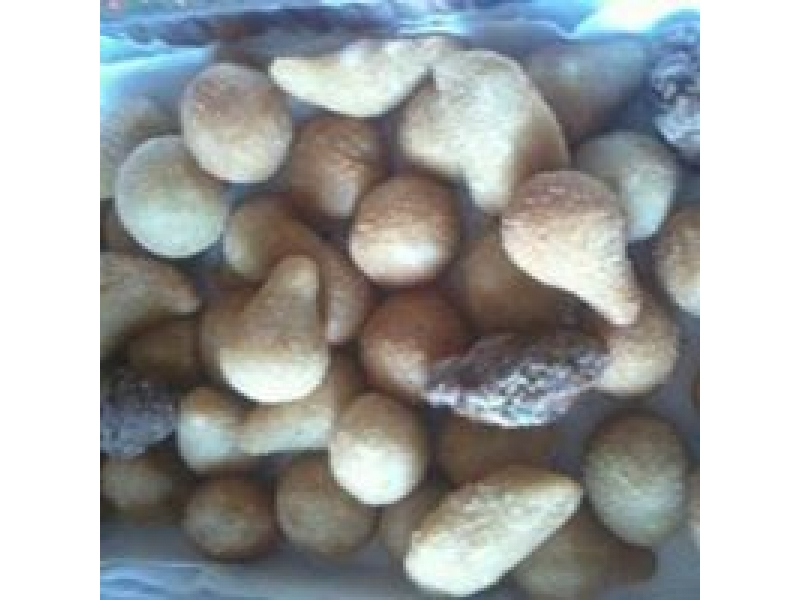 SALGADOS PARA FESTAS EM JACAREPAGUÁ