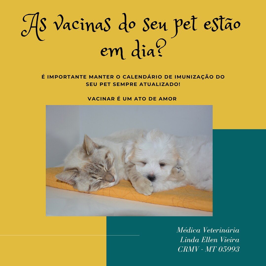 PET SHOP E CLÍNICA VETERINÁRIA EM SINOP - MT