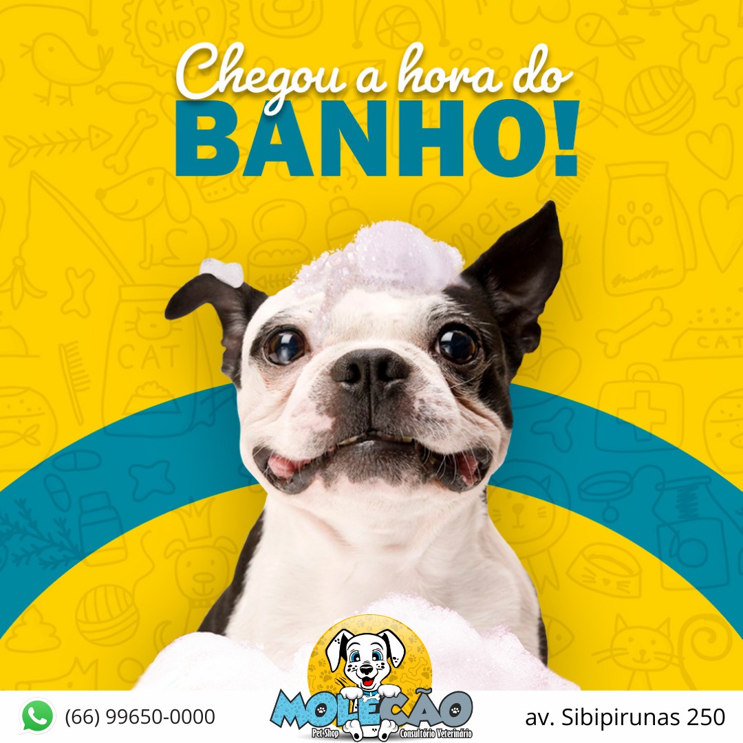 PET SHOP E CLÍNICA VETERINÁRIA EM SINOP - MT