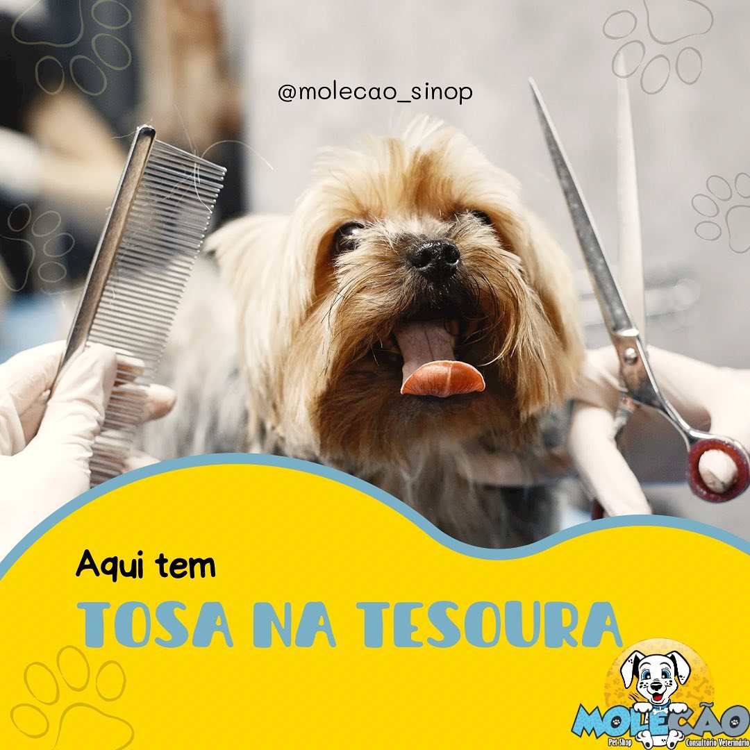 PET SHOP E CLÍNICA VETERINÁRIA EM SINOP - MT