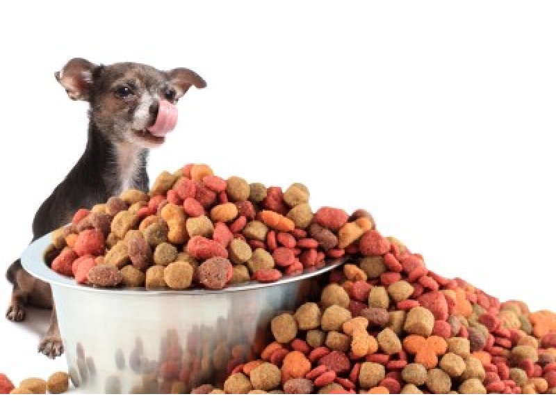 CLINICA VETERINÁRIA EM DUQUE DE CAXIAS - RJ