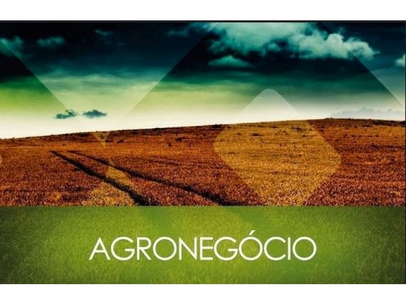 Happening com. Agronegocio Seedgrain.