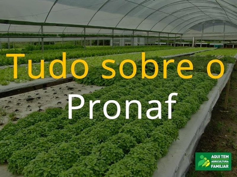 ASSESSORIA EM AGRONEGÓCIOS EM SÃO JOSÉ DOS CAMPOS SP