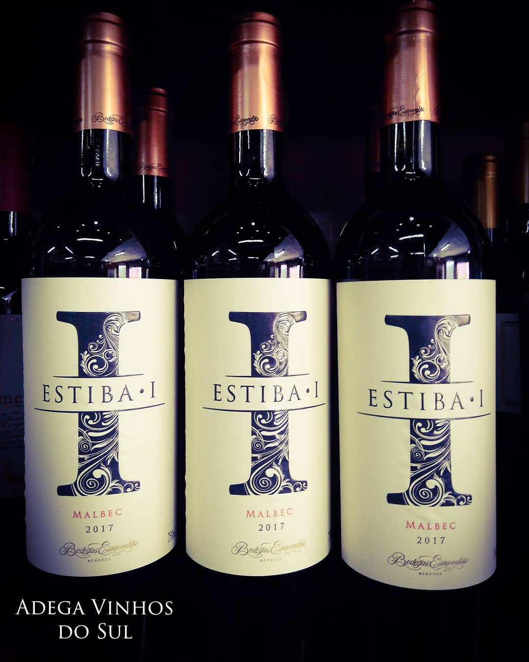 ADEGA DE VINHOS EM JUIZ DE FORA 