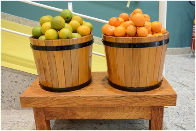 SUPERMERCADO TRUNFO EM CACHOEIRO DE ITAPEMIRIM - TRUNFO - ES