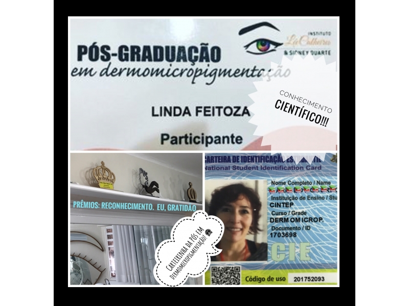 MICRO PIGMENTAÇÃO DE SOBRANCELHA PETRÓPOLIS - Linda Feitosa 