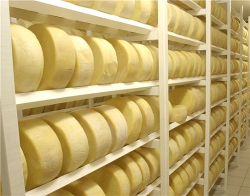 QUEIJO EM PENAPOLIS - SP