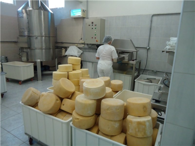 QUEIJO EM PENAPOLIS - SP