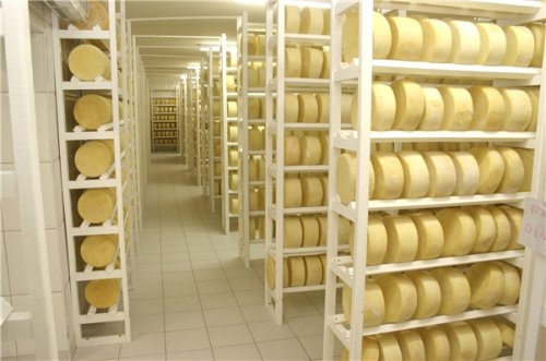 QUEIJO EM PENAPOLIS - SP