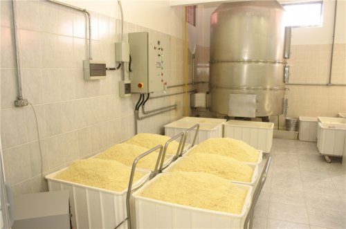 QUEIJO EM PENAPOLIS - SP