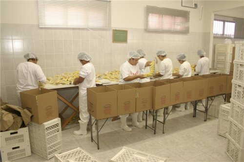 QUEIJO EM PENAPOLIS - SP