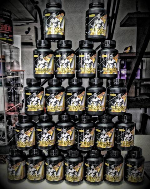 SUPLEMENTO NUTRICAO ESPORTIVA HIPERCALORICO TERMOGENICO GOLD STANDARD GAMA BRASILIA DF