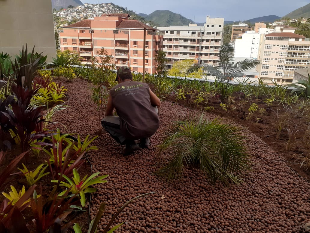 PLANTAS E PAISAGISMO EM TERESÓPOLIS RJ
