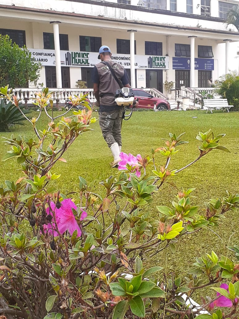 PLANTAS E PAISAGISMO EM TERESÓPOLIS RJ