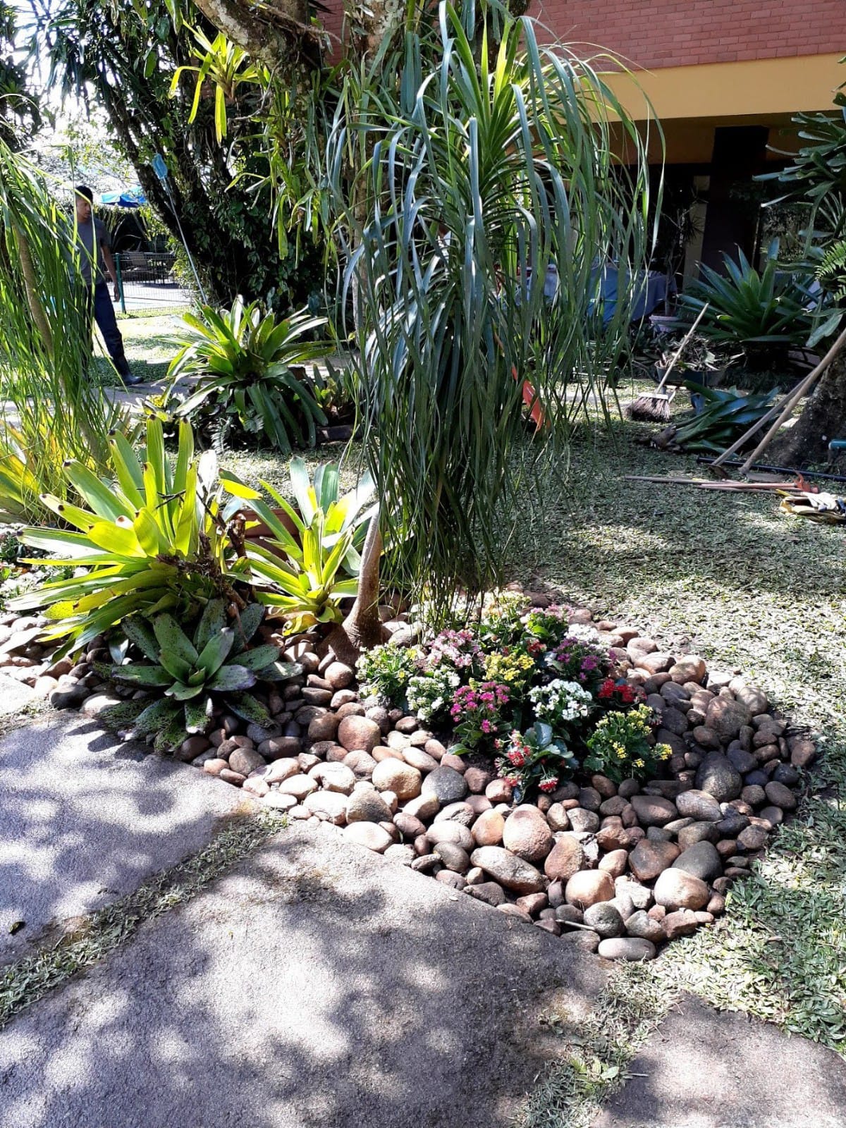 PLANTAS E PAISAGISMO EM TERESÓPOLIS RJ